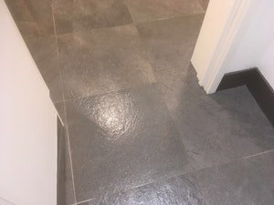 After Human Waste Clearance, Clean Shiny Floor