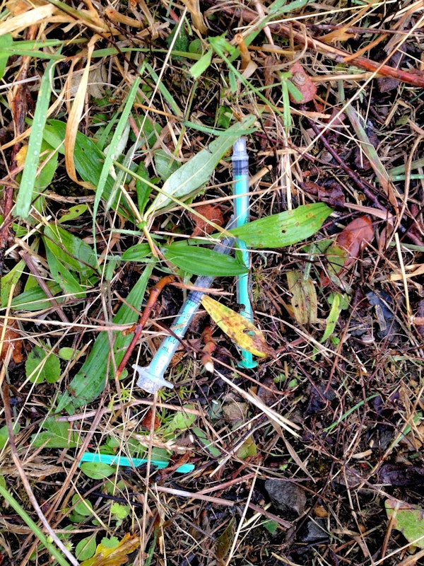 hypodermic needles in grass