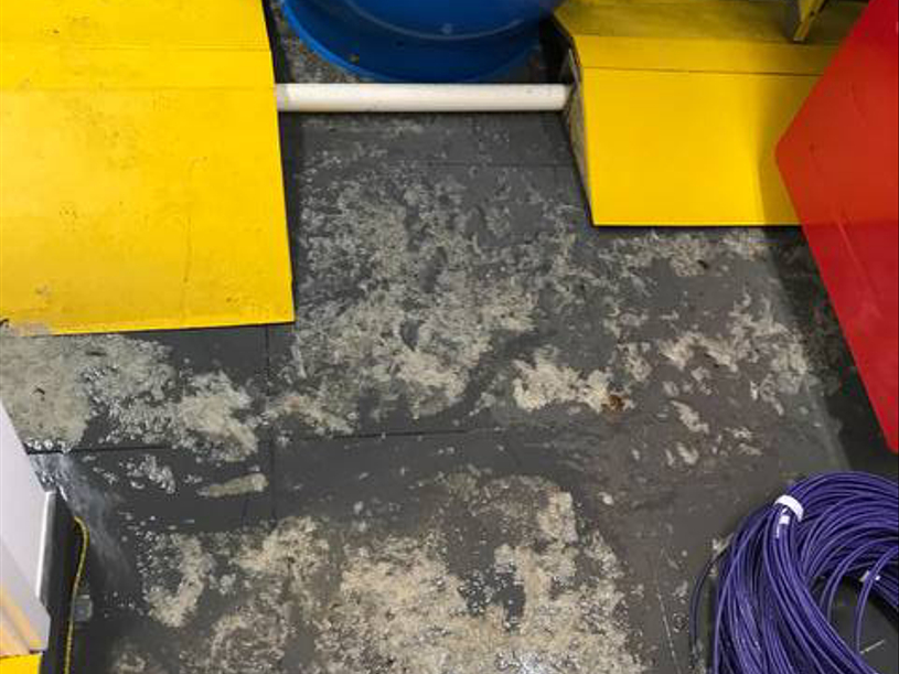 Human Waste Removal & Clean