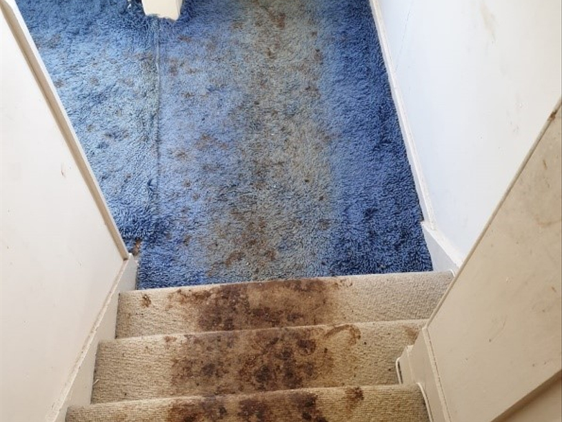 Human Waste Removal Stately Home – Essex