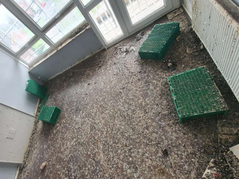 Pigeon Guano Removal – South London