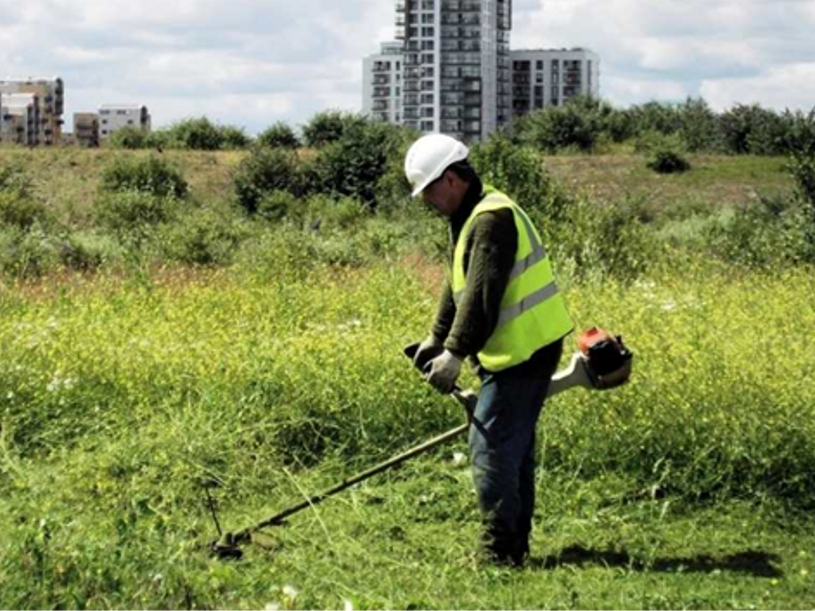 Government funds free sites for housing