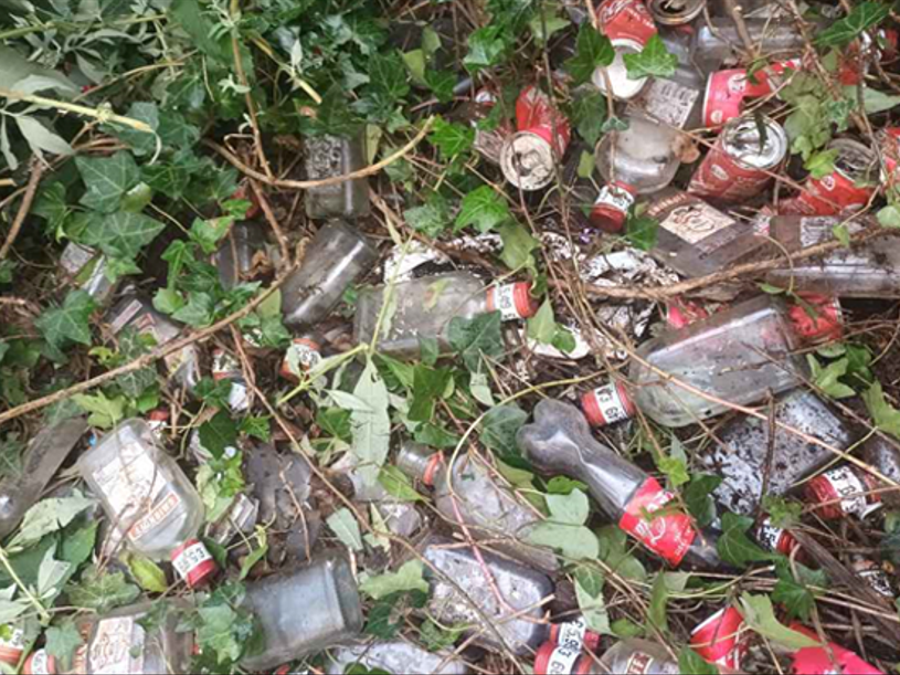 Vegetation Clearance & Security Fencing – Albion Office Interiors LTD