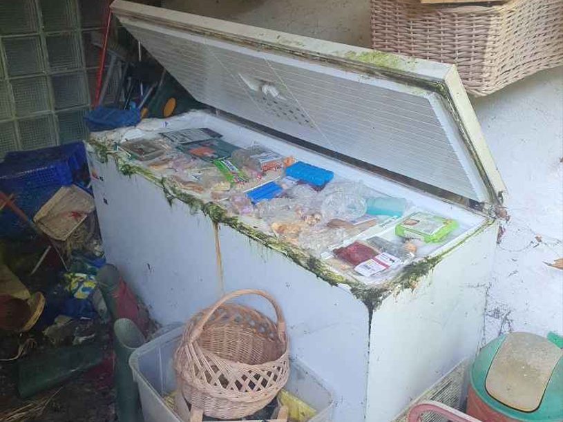 Chest Freezer Disposal